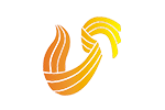 山東衛(wèi)視廣告代理價(jià)格